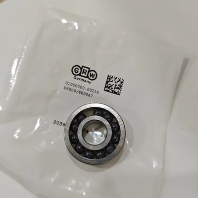 D6000/61252 Manufacture Angular Contact Bearing with Performance 10*26*8mm