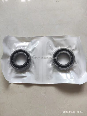 D6000/61252 Manufacture Angular Contact Bearing with Performance 10*26*8mm