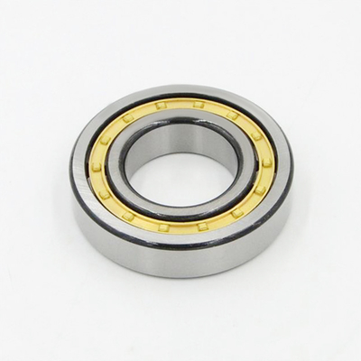 Z1V1/V2V2/V3V3 Vibration Cylindrical Roller Bearing N1011 NU1011 EM for Your Requirements