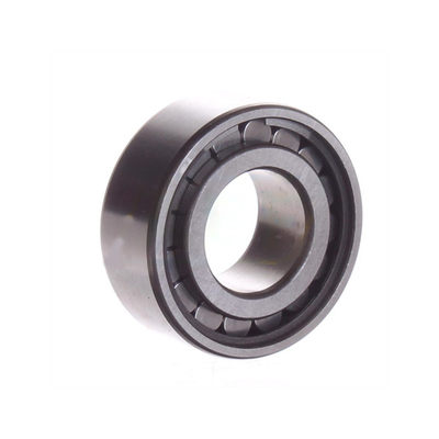 Chrome Steel Gcr15 NCF 3005 CV Single Row Full Complement Cylindrical Bearing