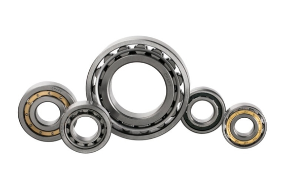 Chrome Steel GCr15 Cylindrical Roller Bearings NJ1020EM EU1020EM N1020EM for Applications