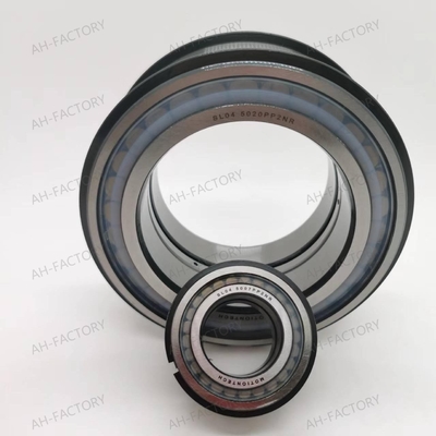 Stable Performance Cylindrical Roller Bearing SL04 5007PP2NR for Food Beverage