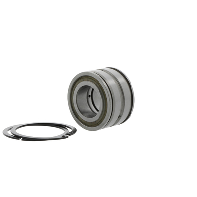 SL04-5005-PP-2NR Double Row Cylindrical Roller Bearing with  Performance 25*47*30