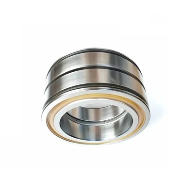SL04-5005-PP-2NR Double Row Cylindrical Roller Bearing with  Performance 25*47*30