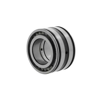 SL04-5005-PP-2NR Double Row Cylindrical Roller Bearing with  Performance 25*47*30