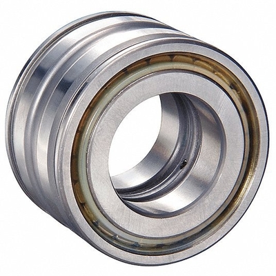 Automotive Complement SL04 5007 PP2NR Roller Bearings for Durability