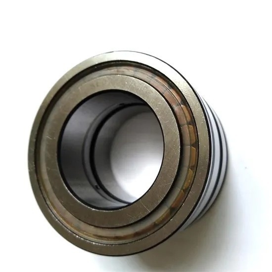 SL04-5005-PP-2NR Double Row Cylindrical Roller Bearing with  Performance 25*47*30